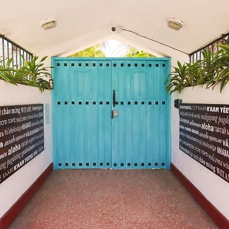 Hotel Villas Colibri Suites & Bungalows-2