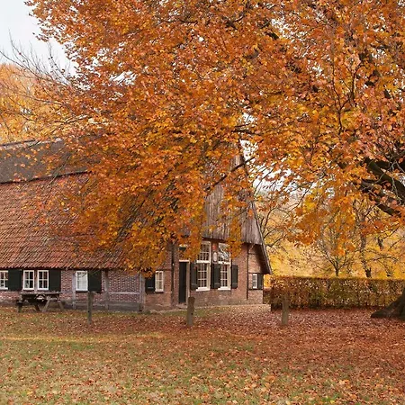 Bed & Breakfast Hoeve Springendal-3