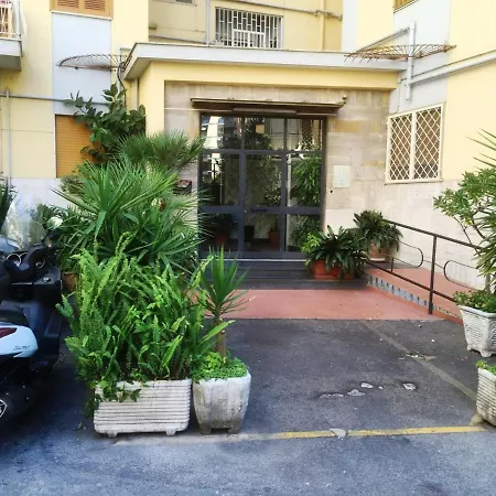 B&B Alexander-3