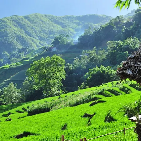 Eco Palms House - Sapa Retreat-2
