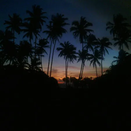 Ocean View-3