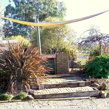 Bogong Moth Motel-3