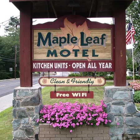 Maple Leaf Motel-3