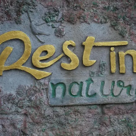 Rest In Nature-2