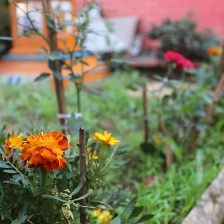 Mhatre'S Guest House-2