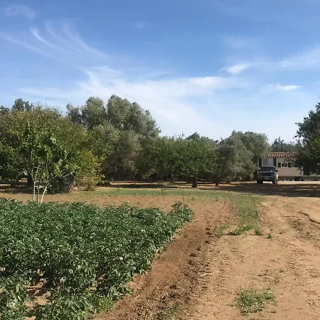 The Farm Tiny House - Tiny Casa-3