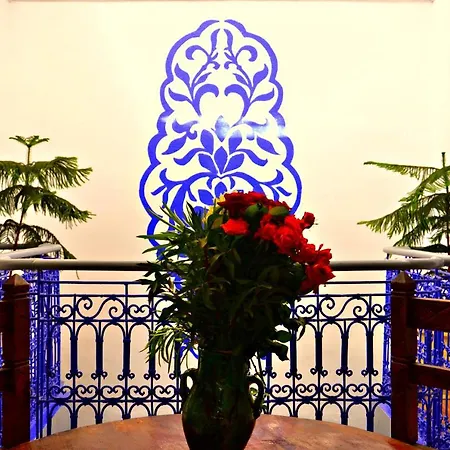Riad Wink-2