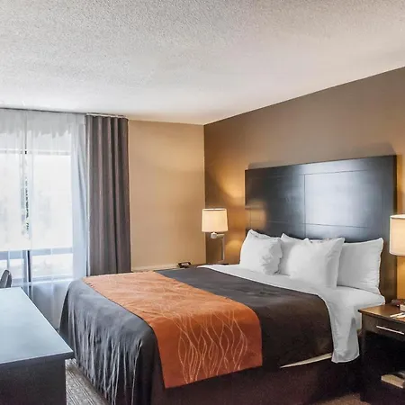 Comfort Inn Brampton-3