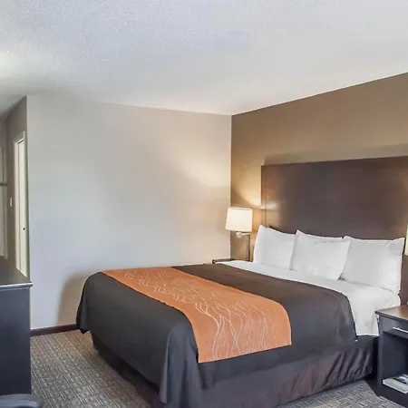 Comfort Inn Brampton-2