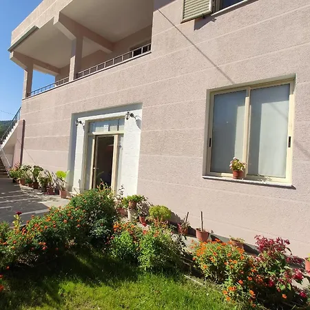 Olive B&B-3