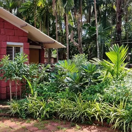Oasis Resort-2