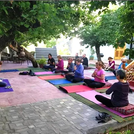 Namra Hotel And Camps - Temisgam-3