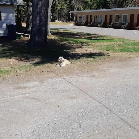 Pine Grove Motel-2