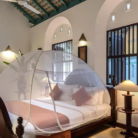 Green Casa-3