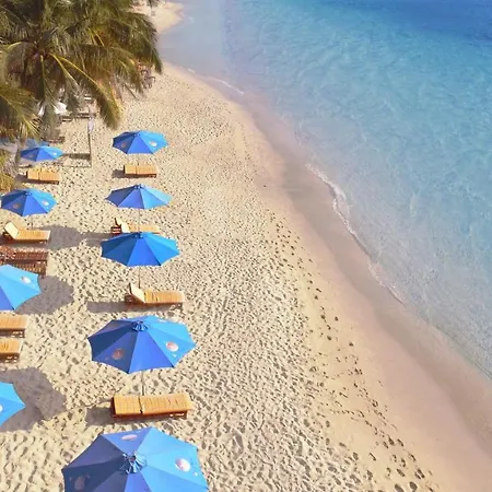 Orange Resort-2