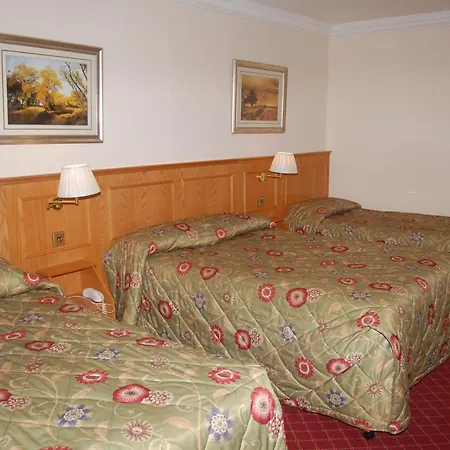 Viking Hotel-2