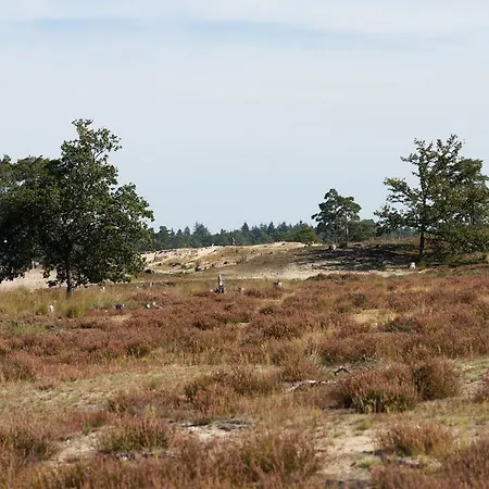 De Stal-3