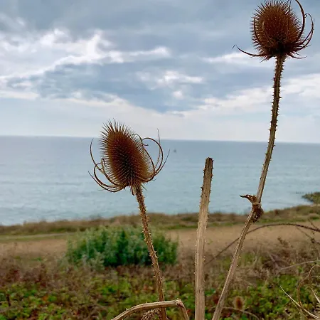 Shorefield Country Park, Where The New Forest Meets The Sea, Passes For All Entertainment Included-3