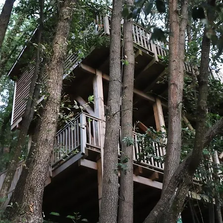 Orion Treehouses-2