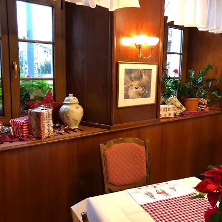 Hotel Rose Heidelberg Inklusive Fruehstueck, Saunanutzung Und Parkplaetze Nach Verfuegbarkeit-3