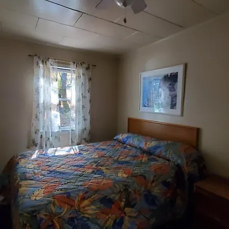 Clear Lake Vista Resort-2