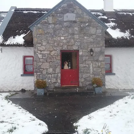 The Thatched Cottage B&B-2