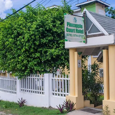 Pineapple Court Hotel-3