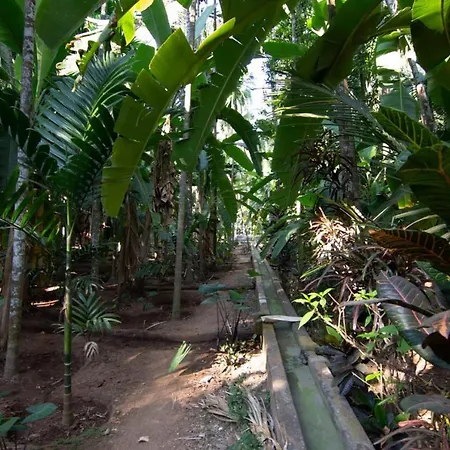 Suvarna Holiday Home-3