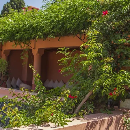 Riad Majala-2
