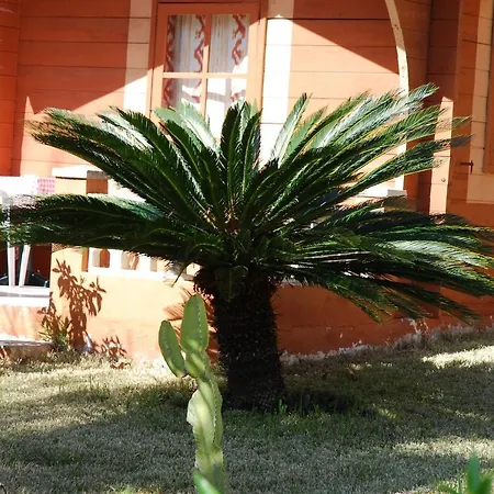 Soller Garden-2