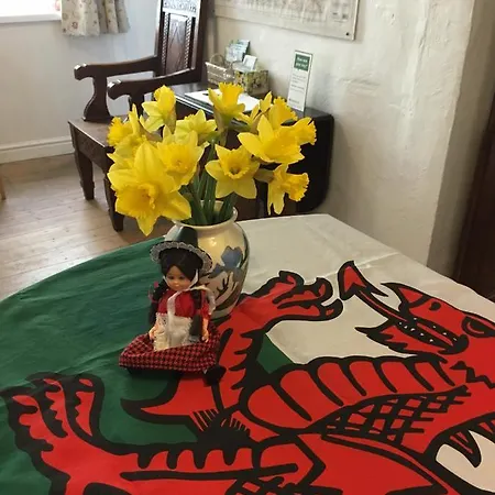 Aber Cottage B&B-3