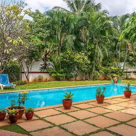 Stayvista'S Firefly Homestay - 3Bhk Stay With Terrace & Private Pool-2