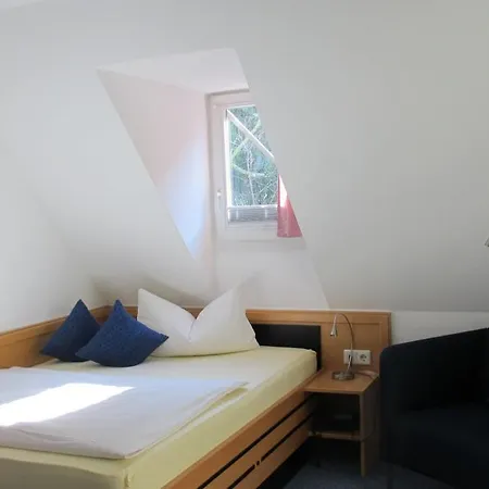 Hotel Anlage Heidelberg-2