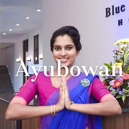Blue Spring Hotel Wadduwa-2