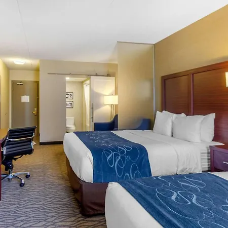 Comfort Suites Downtown Windsor-3