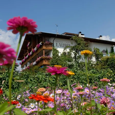 Pension Laurin-3