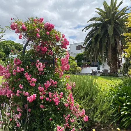 Montrose Guesthouse-3
