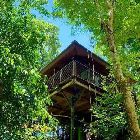 Cairns Rainforest Retreat-2