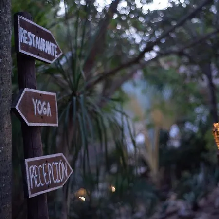 El Alquimista Yoga Spa-3