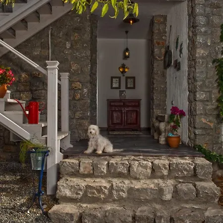 Valentina Boutique Hotel-2