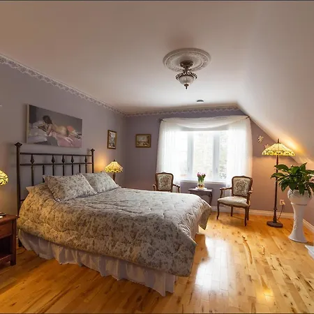 Au Coeur De Saint-Sauveur-3