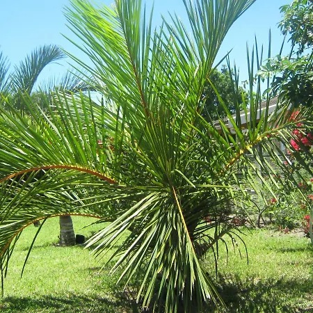 Hillton Gardens Guesthouse-3