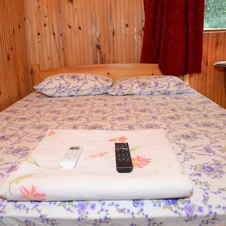 Olympos Camlık Pension-3
