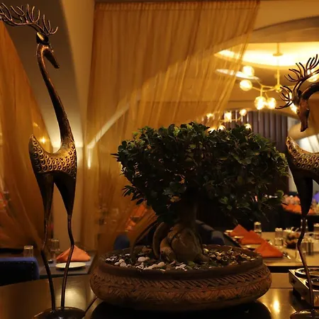 The Purple Leaf Hotels-3