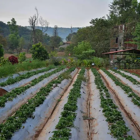 Jungle Valley Agriculture Resort-3