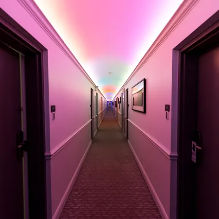 Hotel Chicago West Loop, Surestay Collection By Best Western-3