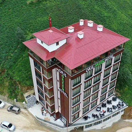 Oris Green Hotel-3