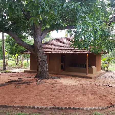 Eco Village Kalundewa-2