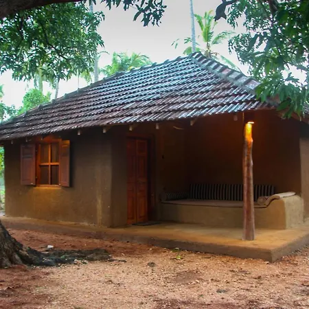 Eco Village Kalundewa-3