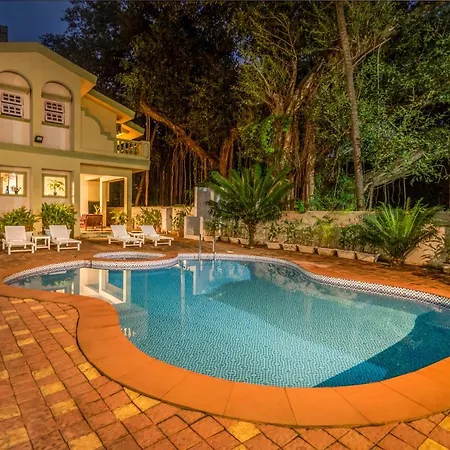 Casa Legend Economy, Calangute Goa-3